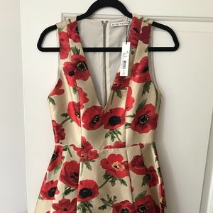 Alice + Olivia Dress